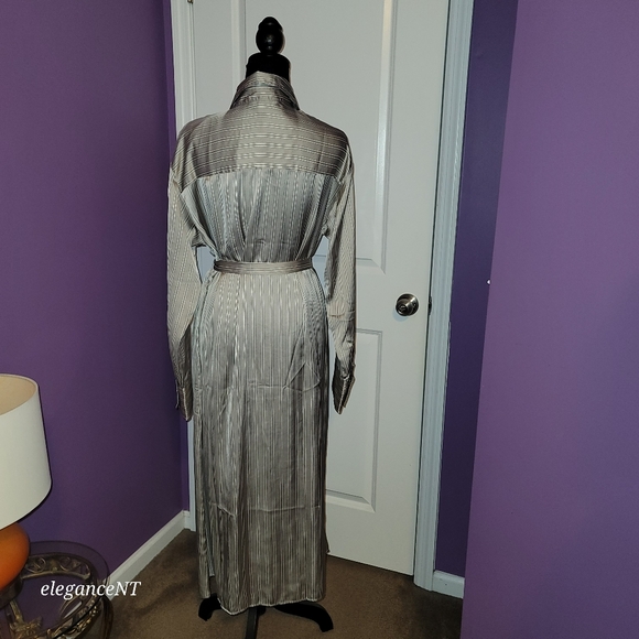 H & M Silver Striped Long Sleeve Button Down Dress Sz: L NWT - Picture 6 of 10